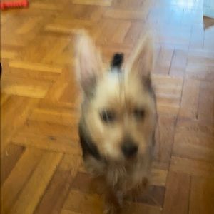 Meet your Posher, Kevin